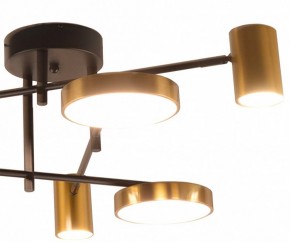 Потолочная люстра Kink Light Рапис 07645-6D,19(20) в Чайковском - chaykovskiy.ok-mebel.com | фото 2