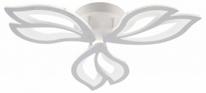 Потолочная люстра Natali Kovaltseva FORTUNA LED LAMPS 81107/2C в Чайковском - chaykovskiy.ok-mebel.com | фото