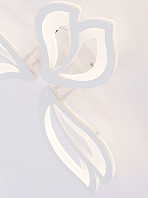Потолочная люстра Natali Kovaltseva FORTUNA LED LAMPS 81107/2C в Чайковском - chaykovskiy.ok-mebel.com | фото 11