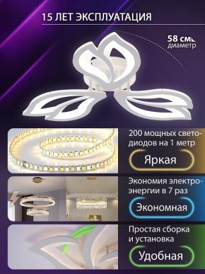 Потолочная люстра Natali Kovaltseva FORTUNA LED LAMPS 81107/2C в Чайковском - chaykovskiy.ok-mebel.com | фото 6