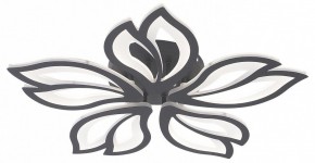 Потолочная люстра Natali Kovaltseva FORTUNA LED LAMPS 81107/5C в Чайковском - chaykovskiy.ok-mebel.com | фото