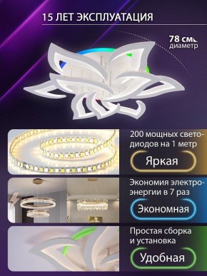 Потолочная люстра Natali Kovaltseva OLIMP LED LAMPS 81435 в Чайковском - chaykovskiy.ok-mebel.com | фото 5