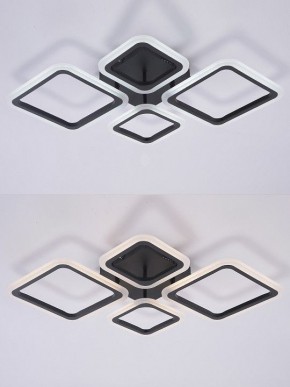 Потолочная люстра Natali Kovaltseva OPTI LED LAMPS 81108/2C в Чайковском - chaykovskiy.ok-mebel.com | фото 4