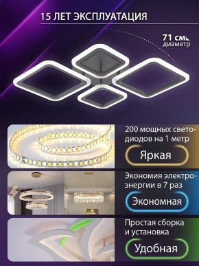 Потолочная люстра Natali Kovaltseva OPTI LED LAMPS 81108/2C в Чайковском - chaykovskiy.ok-mebel.com | фото 5