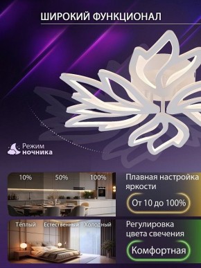 Потолочная люстра Natali Kovaltseva RIF LED LAMPS 81118/5C в Чайковском - chaykovskiy.ok-mebel.com | фото 6