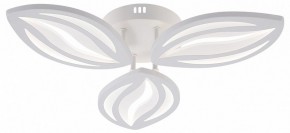 Потолочная люстра Natali Kovaltseva SM LED LAMPS 81456 в Чайковском - chaykovskiy.ok-mebel.com | фото