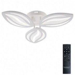 Потолочная люстра Natali Kovaltseva SM LED LAMPS 81456 в Чайковском - chaykovskiy.ok-mebel.com | фото 2