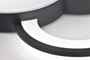 Потолочная люстра Rivoli Aliona Б0066452 в Чайковском - chaykovskiy.ok-mebel.com | фото 10