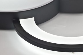 Потолочная люстра Rivoli Aliona Б0066452 в Чайковском - chaykovskiy.ok-mebel.com | фото 12