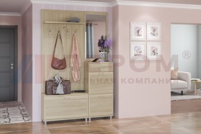 Прихожая Мелисса композиция 8 (Ясень Асахи) в Чайковском - chaykovskiy.ok-mebel.com | фото