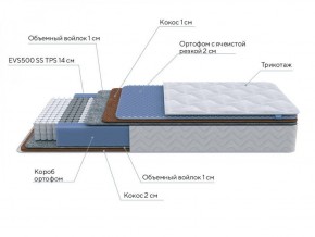 PROxSON Матрас Active Duo M/F (Ткань Трикотаж Эко) 140x200 в Чайковском - chaykovskiy.ok-mebel.com | фото 6