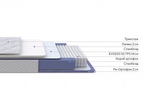 PROxSON Матрас Active Duo S/F (Ткань Трикотаж Эко) 90x195 в Чайковском - chaykovskiy.ok-mebel.com | фото 2