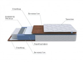 PROxSON Матрас Active F (Ткань Трикотаж Эко) 80x200 в Чайковском - chaykovskiy.ok-mebel.com | фото 7