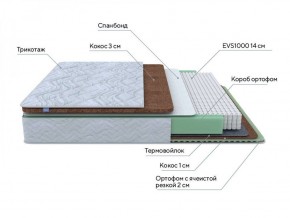 PROxSON Матрас Green Duo M/F (Tricotage Dream) 120x190 в Чайковском - chaykovskiy.ok-mebel.com | фото 7