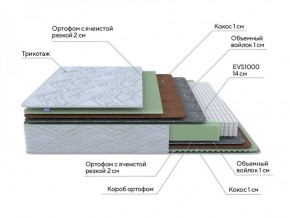 PROxSON Матрас Green M (Tricotage Dream) 90x195 в Чайковском - chaykovskiy.ok-mebel.com | фото 6