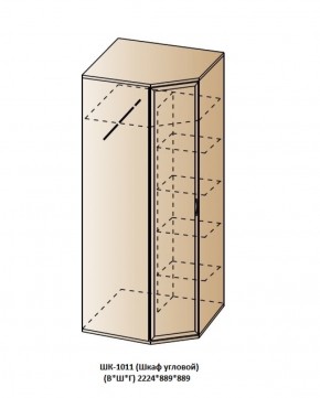 ШК-1011 (Шкаф угловой) в Чайковском - chaykovskiy.ok-mebel.com | фото