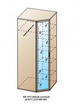 ШК-1012 (Шкаф угловой) в Чайковском - chaykovskiy.ok-mebel.com | фото