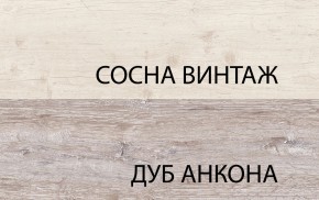Шкаф 2D1S, MONAKO, цвет Сосна винтаж/дуб анкона в Чайковском - chaykovskiy.ok-mebel.com | фото