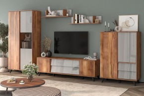 Шкаф комбинированный Онтарио 474.06 в Чайковском - chaykovskiy.ok-mebel.com | фото 5