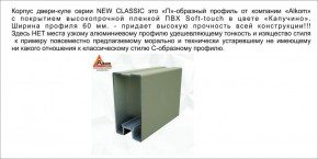 Шкаф-купе 1500 серии NEW CLASSIC K2+K2+B2+PL2(2 ящика+1 штанга+1 полка) профиль «Капучино» в Чайковском - chaykovskiy.ok-mebel.com | фото 17