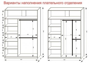 Шкаф-купе 1600 серии SOFT D6+D4+B2+PL2 (2 ящика+1штанга+1 полка) профиль «Капучино» в Чайковском - chaykovskiy.ok-mebel.com | фото 9