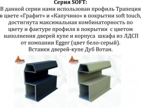 Шкаф-купе 1600 серии SOFT D8+D2+B2+PL4 (2 ящика+F обр.штанга) профиль «Графит» в Чайковском - chaykovskiy.ok-mebel.com | фото 12