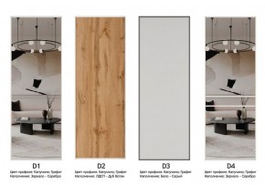 Шкаф-купе 1600 серии SOFT D8+D2+B2+PL4 (2 ящика+F обр.штанга) профиль «Графит» в Чайковском - chaykovskiy.ok-mebel.com | фото 9