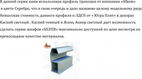 Шкаф-купе 1700 серии SILVER S3+S4+B2+PL4 (2 ящика+F обр.штанга) профиль «Серебро» в Чайковском - chaykovskiy.ok-mebel.com | фото 4