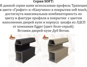 Шкаф-купе 1800 серии SOFT D1+D3+B2+PL1 (2 ящика+1штанга) профиль «Графит» в Чайковском - chaykovskiy.ok-mebel.com | фото 11