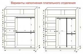 Шкаф-купе 1800 серии SOFT D1+D3+B2+PL1 (2 ящика+1штанга) профиль «Графит» в Чайковском - chaykovskiy.ok-mebel.com | фото 7