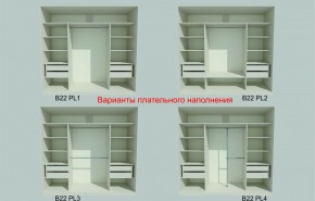 Шкаф-купе 2450 серии NEW CLASSIC K6Z+K1+K6+B22+PL2 (по 2 ящика лев/прав+1 штанга+1 полка) профиль «Капучино» в Чайковском - chaykovskiy.ok-mebel.com | фото 6