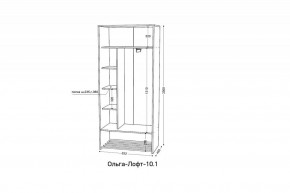 Шкаф-купе Ольга-Лофт 10.1 в Чайковском - chaykovskiy.ok-mebel.com | фото 4