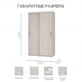 Шкаф-купе ШКК-11 (ясень белый) в Чайковском - chaykovskiy.ok-mebel.com | фото 7