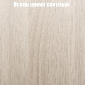 Шкаф-купе «ТАНДЕМ» 2-х дверный в алюминиевом профиле (Дверь К+К) 1200/h2200 в Чайковском - chaykovskiy.ok-mebel.com | фото 6