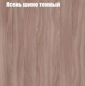 Шкаф-купе «ТАНДЕМ» 2-х дверный в алюминиевом профиле (Дверь К+К) 1200/h2200 в Чайковском - chaykovskiy.ok-mebel.com | фото 7