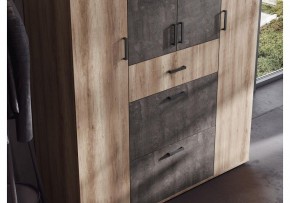 Шкаф платяной Паркинс в Чайковском - chaykovskiy.ok-mebel.com | фото 3
