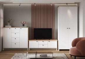 Шкаф платяной Теодора в Чайковском - chaykovskiy.ok-mebel.com | фото 4