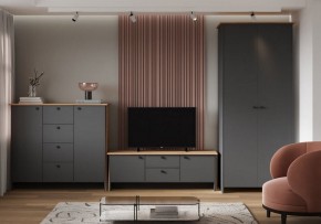 Шкаф платяной Теодора в Чайковском - chaykovskiy.ok-mebel.com | фото 3