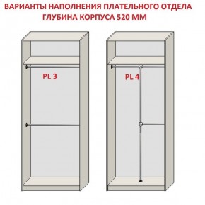 Шкаф распашной серия «ЗЕВС» (PL3/С1/PL2) в Чайковском - chaykovskiy.ok-mebel.com | фото 10
