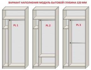 Шкаф распашной серия «ЗЕВС» (PL3/С1/PL2) в Чайковском - chaykovskiy.ok-mebel.com | фото 5