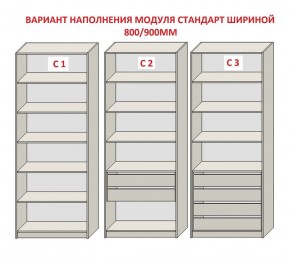 Шкаф распашной серия «ЗЕВС» (PL3/С1/PL2) в Чайковском - chaykovskiy.ok-mebel.com | фото 6