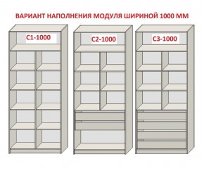 Шкаф распашной серия «ЗЕВС» (PL3/С1/PL2) в Чайковском - chaykovskiy.ok-mebel.com | фото 7
