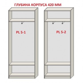 Шкаф распашной серия «ЗЕВС» (PL3/С1/PL2) в Чайковском - chaykovskiy.ok-mebel.com | фото 8
