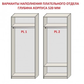 Шкаф распашной серия «ЗЕВС» (PL3/С1/PL2) в Чайковском - chaykovskiy.ok-mebel.com | фото 9