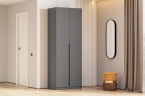 Шкаф ШК-5 + 2 полки (800) Графит серый в Чайковском - chaykovskiy.ok-mebel.com | фото 2
