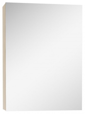 Шкаф-зеркало Мечта 50 Дуб сонома АЙСБЕРГ (DM2318HZ) в Чайковском - chaykovskiy.ok-mebel.com | фото 1
