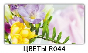 Стол раздвижной Бриз лайм R156 Орхидея R041 в Чайковском - chaykovskiy.ok-mebel.com | фото 16