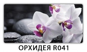 Стол раздвижной Бриз лайм R156 Орхидея R041 в Чайковском - chaykovskiy.ok-mebel.com | фото 17