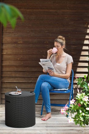 Столик-холодильник Кул-Стул (Cool stool) графит в Чайковском - chaykovskiy.ok-mebel.com | фото