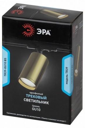 Светильник на штанге Эра  TR39-GU10 BS в Чайковском - chaykovskiy.ok-mebel.com | фото 4